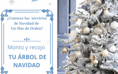 Te ayudo a crear tu ambiente navideño.